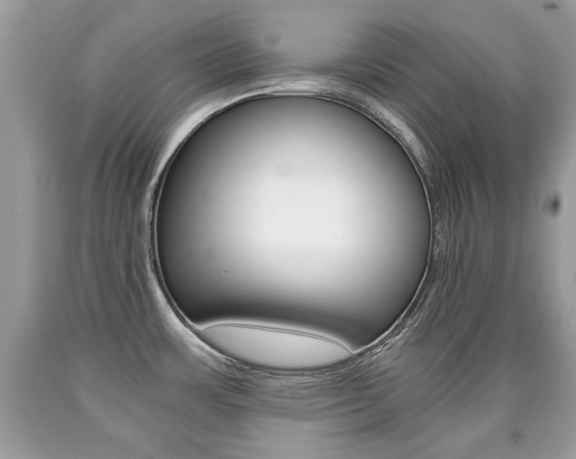 X0000090701483200707200917