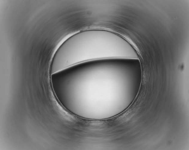 X0000090701484200707200917