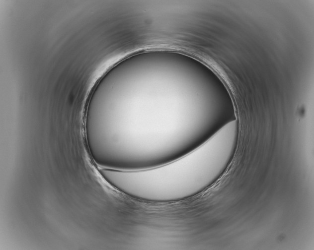 X0000090701485200707200917