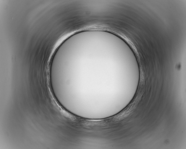 X0000090701486200707200917