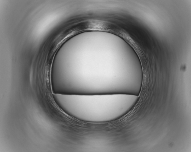 X0000090701487200707200917