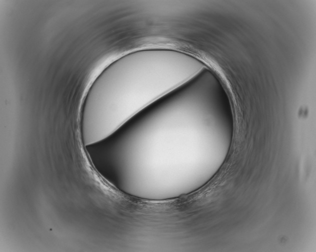 X0000090701488200707200917