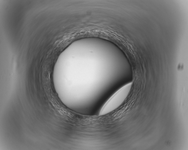 X0000090701489200707200916