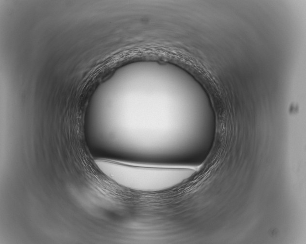 X0000090701490200707200917