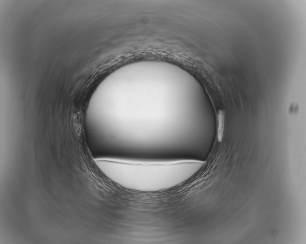 X0000090701491200707200917