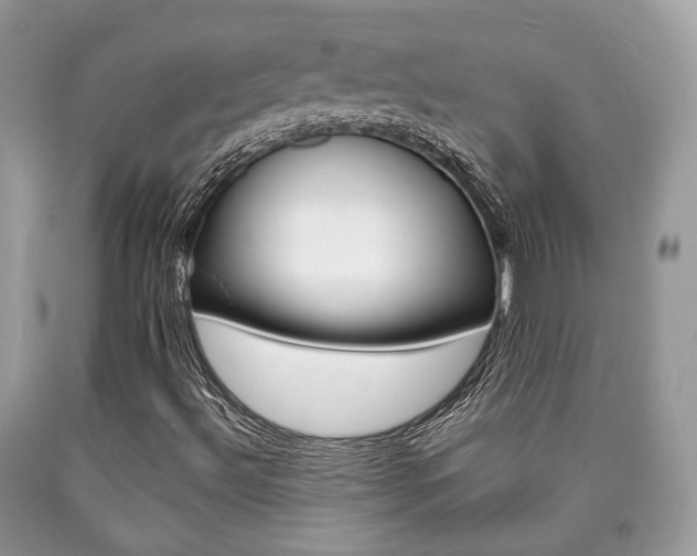 X0000090701492200707200917