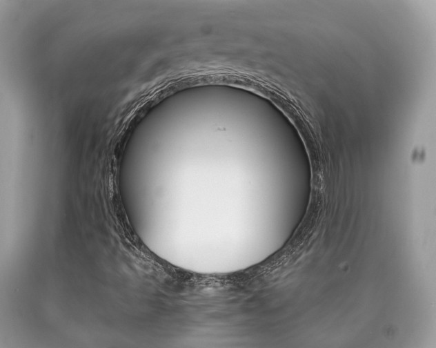 X0000090701493200707200917