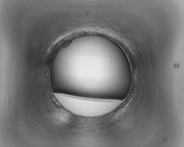 X0000090701494200707200917