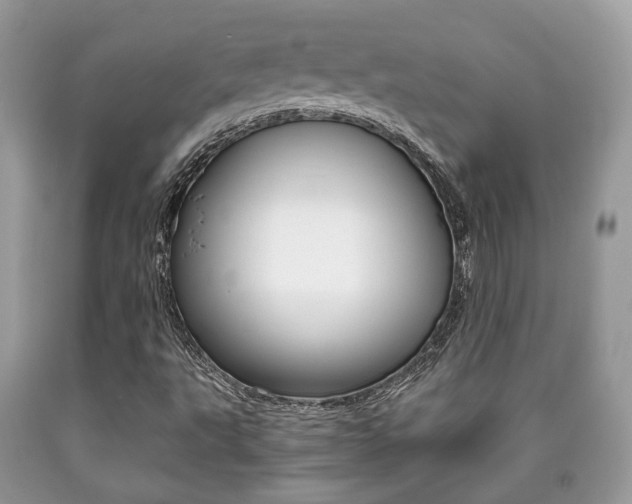 X0000090701495200707200917