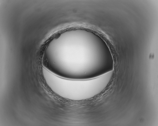 X0000090701496200707200917