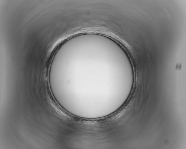 X0000090701498200707200917