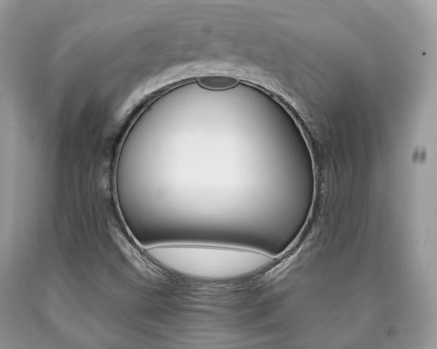 X0000090701499200707200917