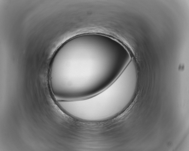 X0000090701500200707200917
