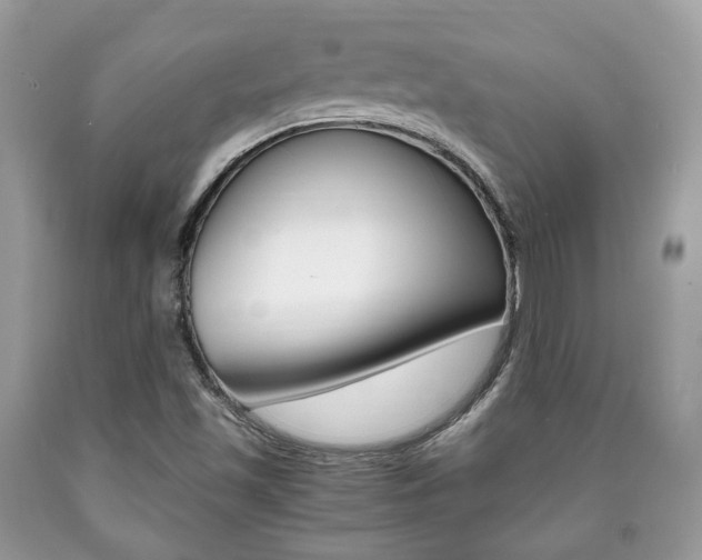 X0000090701501200707200917