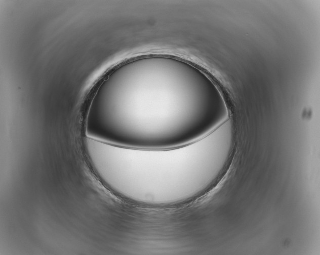 X0000090701502200707200917