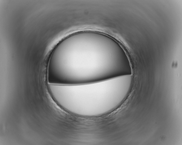 X0000090701504200707200917