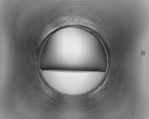 X0000090701505200707200917