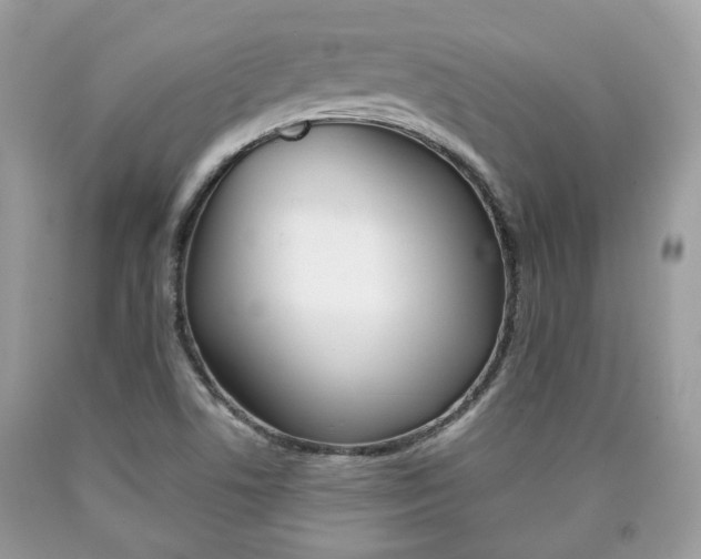 X0000090701506200707200917
