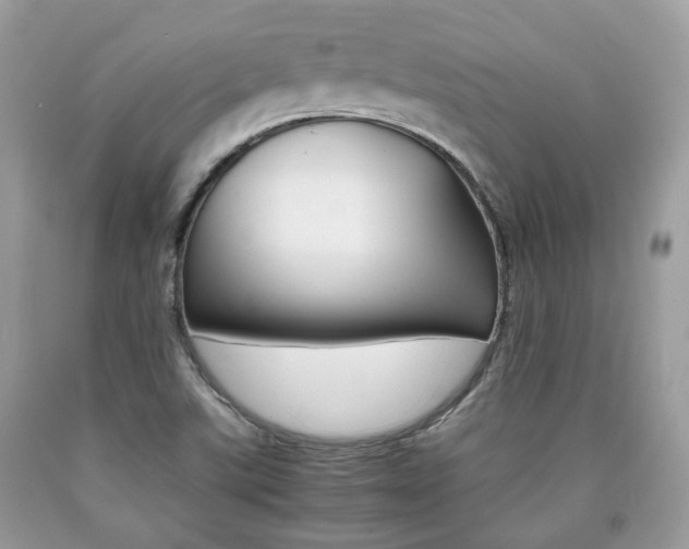 X0000090701507200707200917