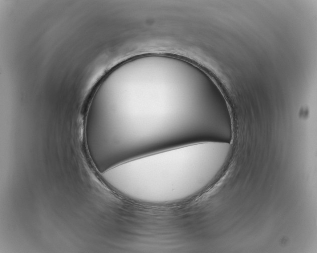 X0000090701509200707200917
