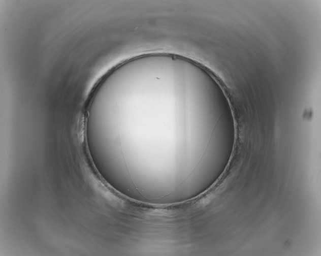 X0000090701510200707200917