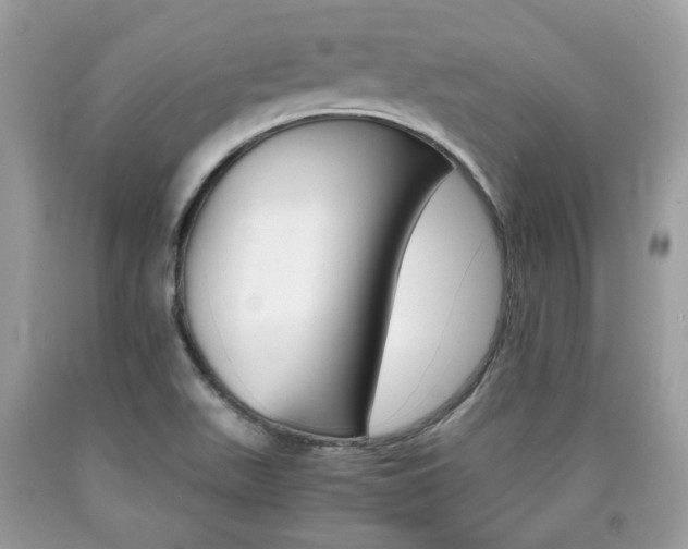 X0000090701511200707200917