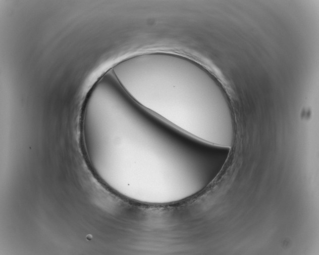 X0000090701512200707200917