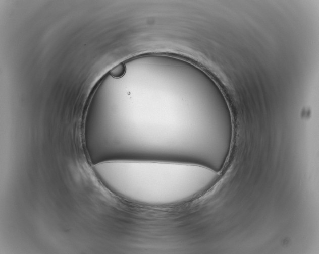 X0000090701513200707200917