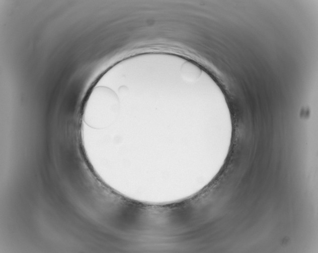X0000090701514200707200917