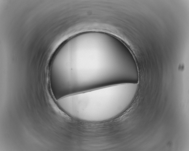 X0000090701515200707200917