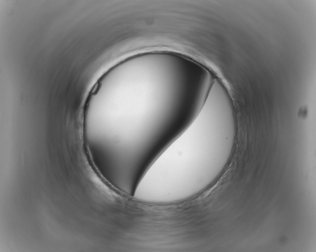 X0000090701516200707200917