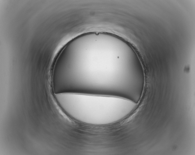 X0000090701517200707200917