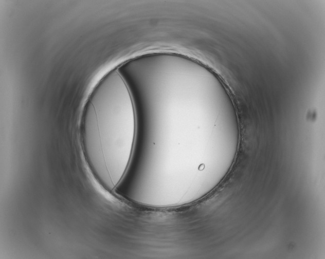 X0000090701519200707200917