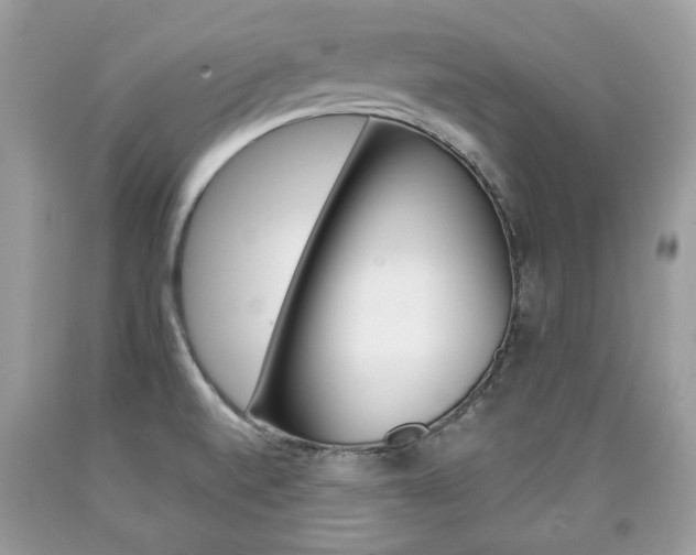 X0000090701520200707200917