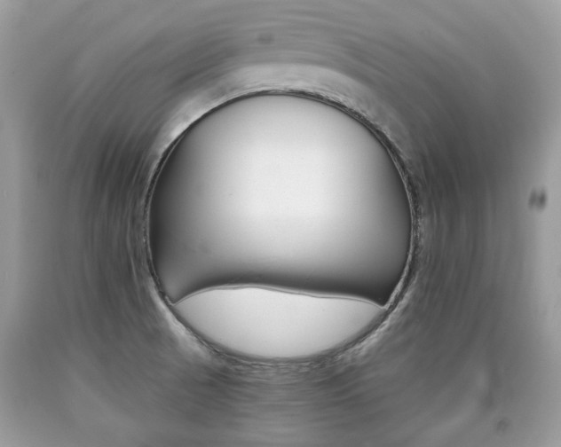 X0000090701521200707200917