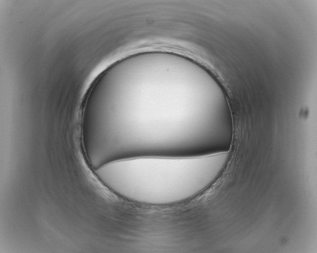 X0000090701522200707200917