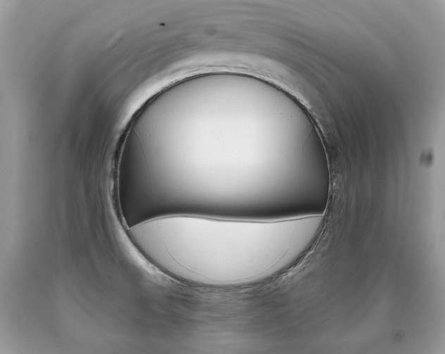 X0000090701523200707200917