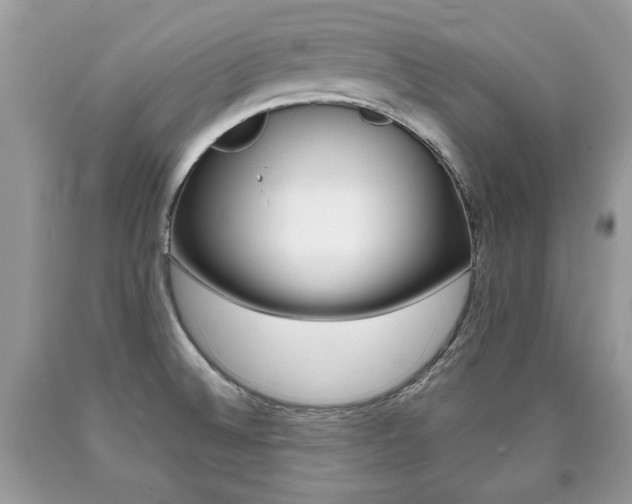 X0000090701524200707200917