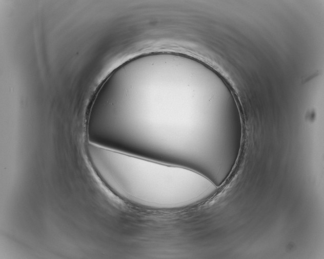 X0000090701525200707200917