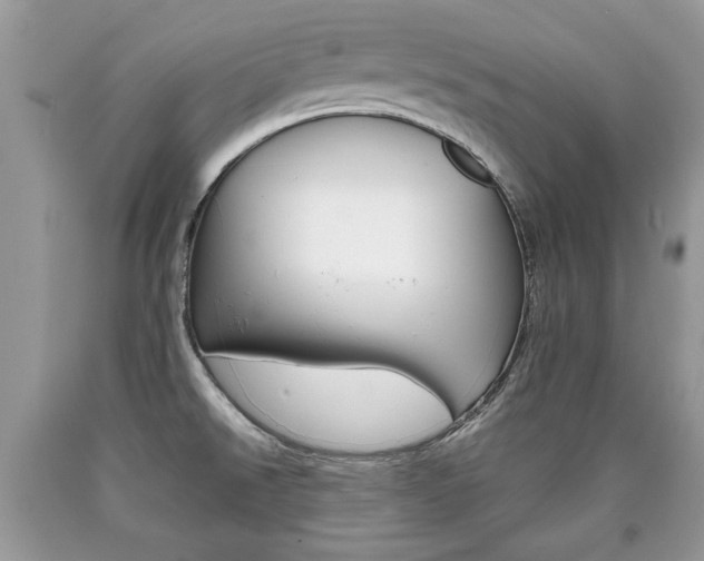 X0000090701526200707200917