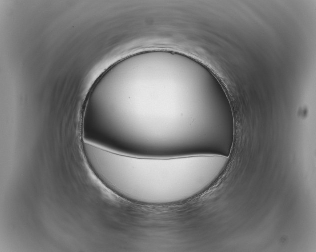 X0000090701527200707200917