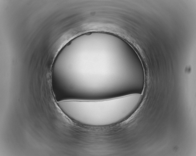 X0000090701529200707200917