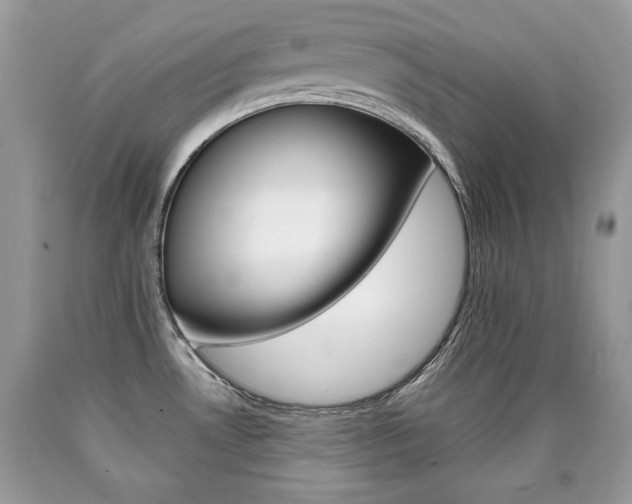 X0000090701530200707200917