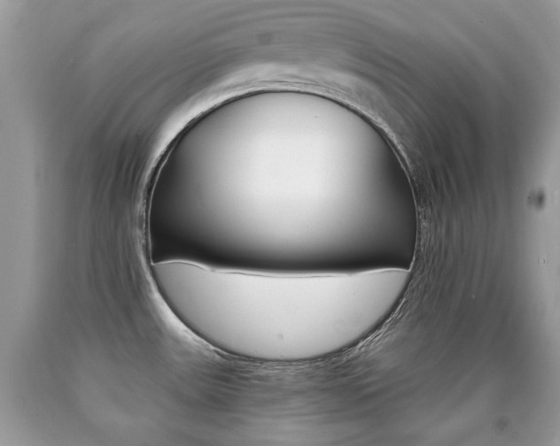 X0000090701531200707200917