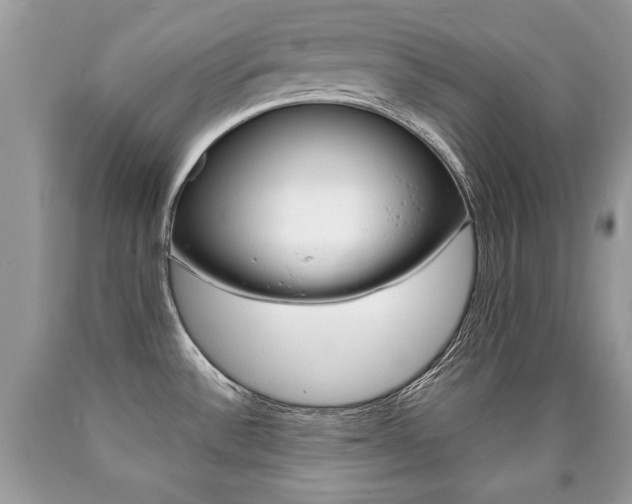 X0000090701532200707200917