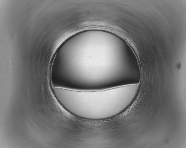 X0000090701533200707200917