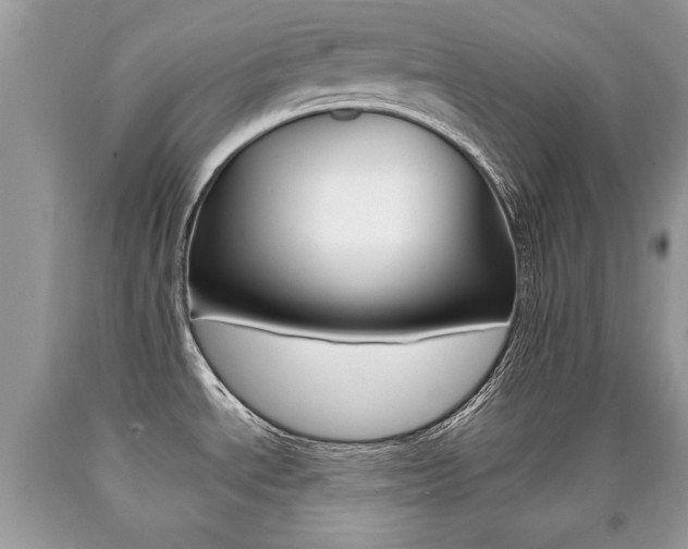 X0000090701534200707200917
