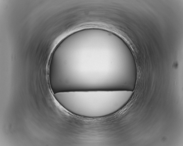 X0000090701535200707200917
