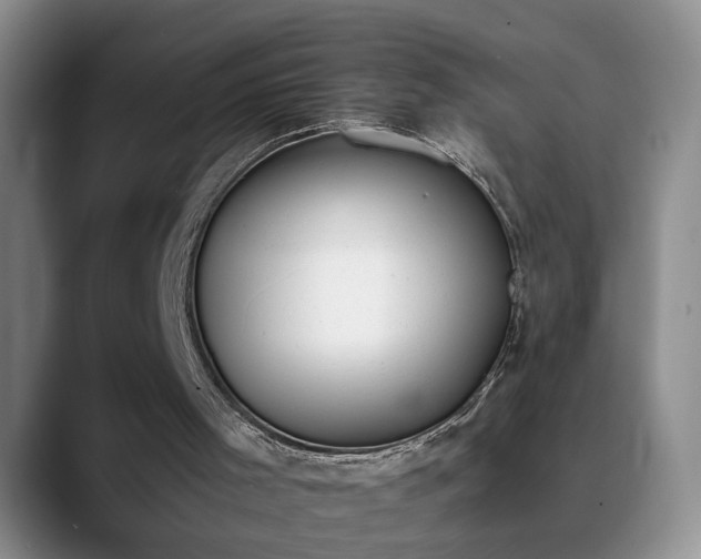 X0000090700001200707201206