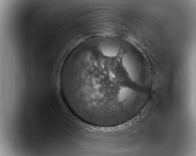 X0000090700002200707201206